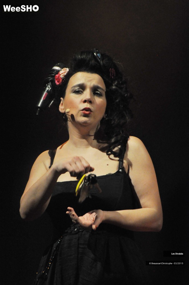 27/44 photos du spectacle Les Divalala