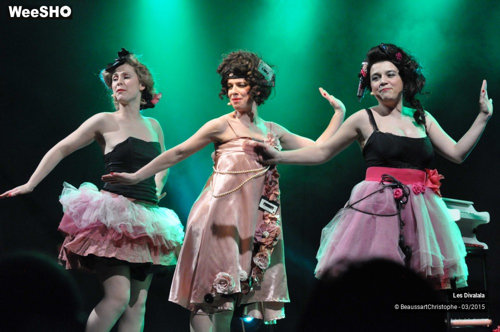 28/44 photos du spectacle Les Divalala
