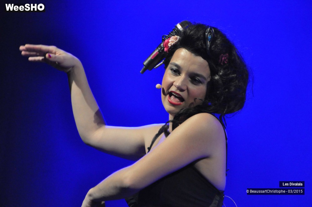 29/44 photos du spectacle Les Divalala