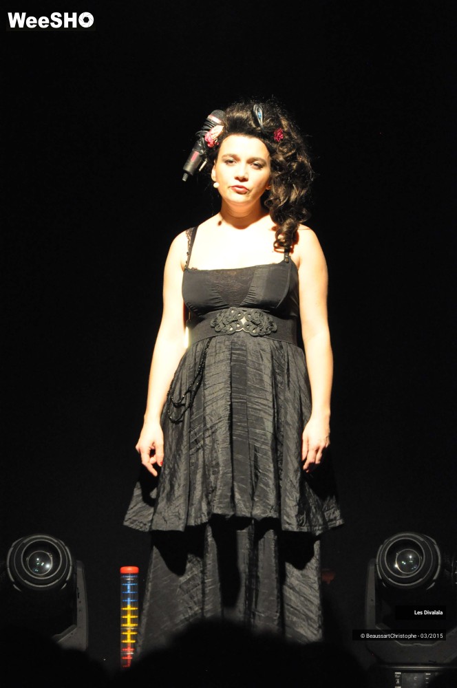 30/44 photos du spectacle Les Divalala