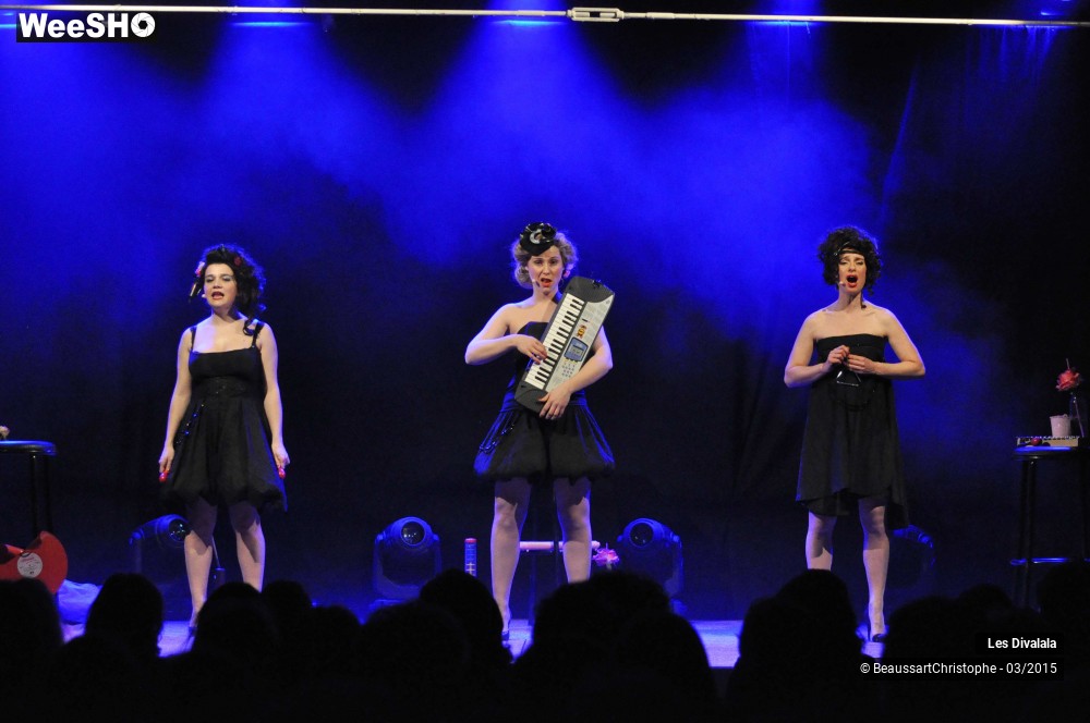 37/44 photos du spectacle Les Divalala