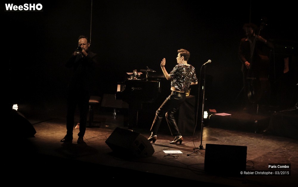 26/38 photos du spectacle Paris Combo