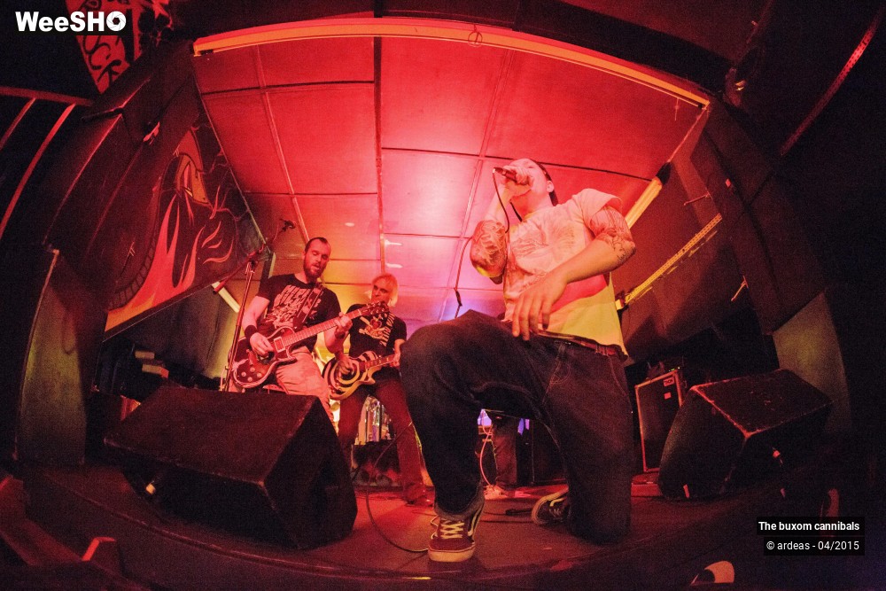 11/23 photos du spectacle The buxom cannibals