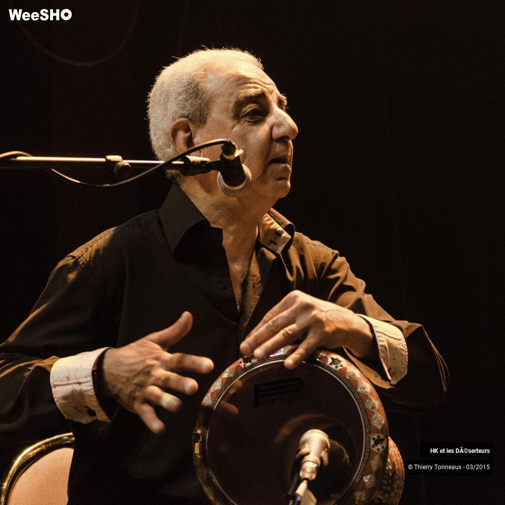 27/32 photos du spectacle HK et les Déserteurs