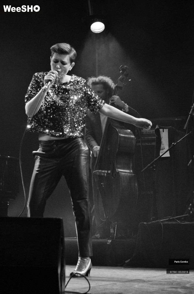 32/36 photos du spectacle Paris Combo