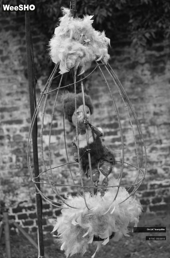 5/8 photos du spectacle La Foire aux Articulés