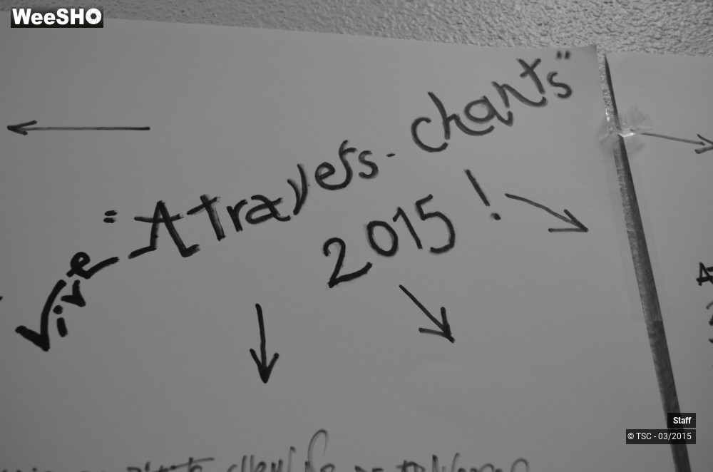 6/14 photos du spectacle A travers chants 2015 Ambiance