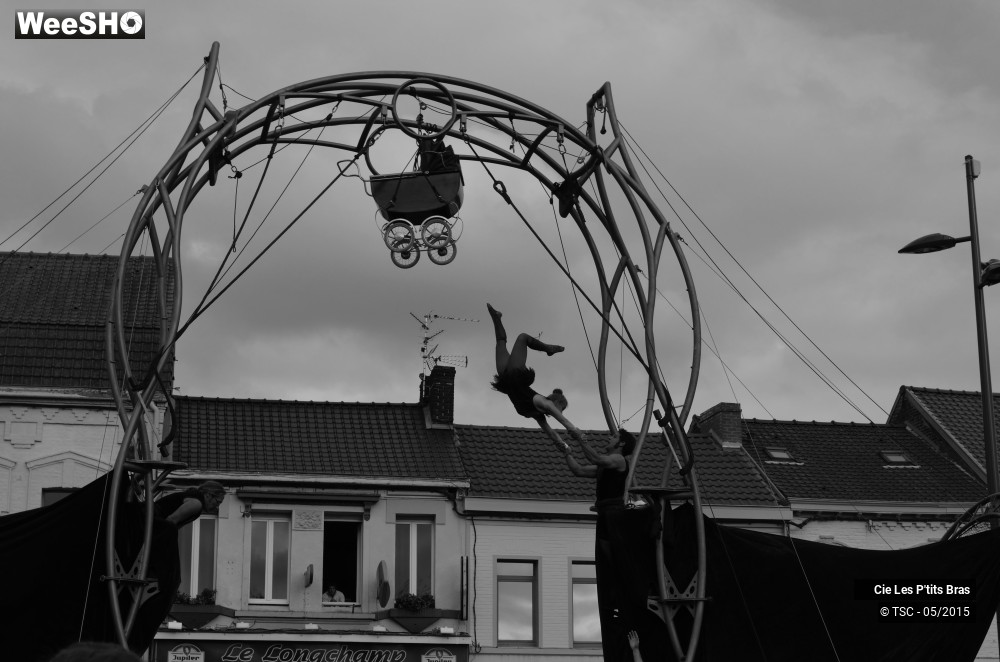 16/28 photos du spectacle L'odeur de la sciure