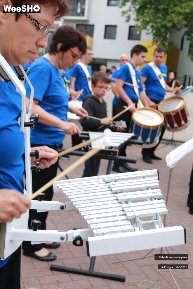 14/39 photos du spectacle Fanfares à Saint-Maurice