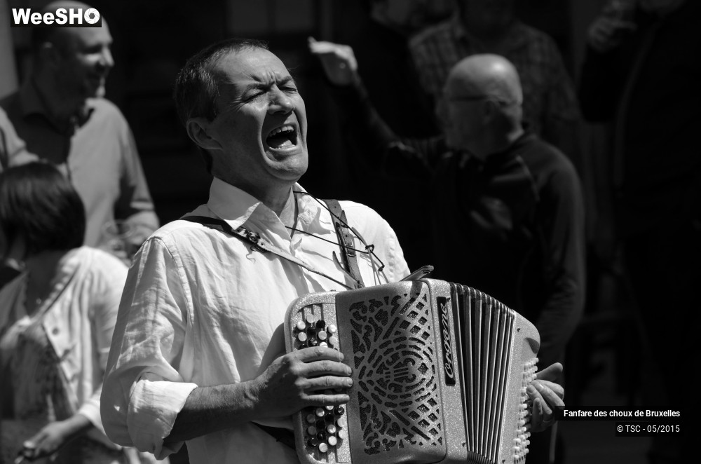 14/47 photos du spectacle Fanfare des choux de Bruxelles