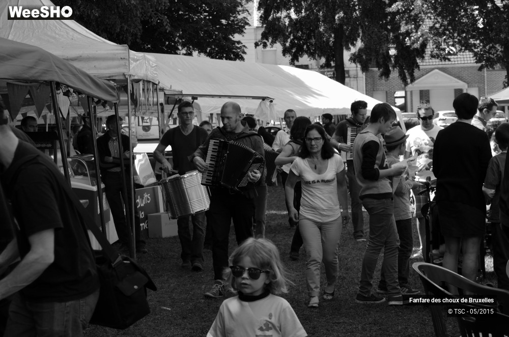 24/47 photos du spectacle Fanfare des choux de Bruxelles
