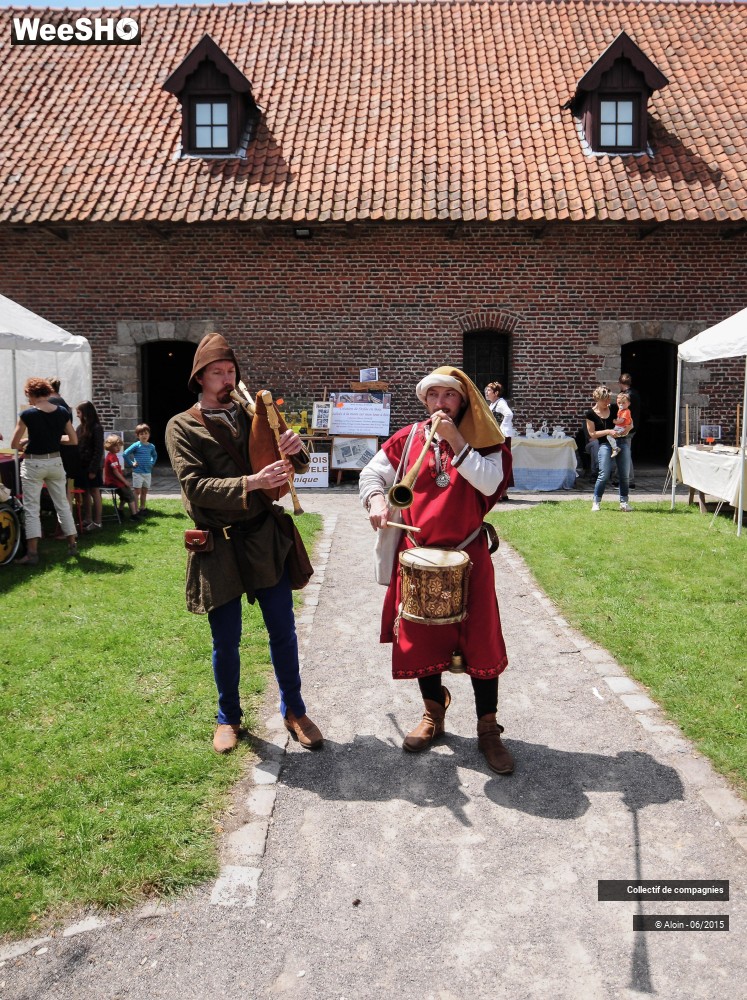 6/36 photos du spectacle Fete medievale de Mons-en-Pevele