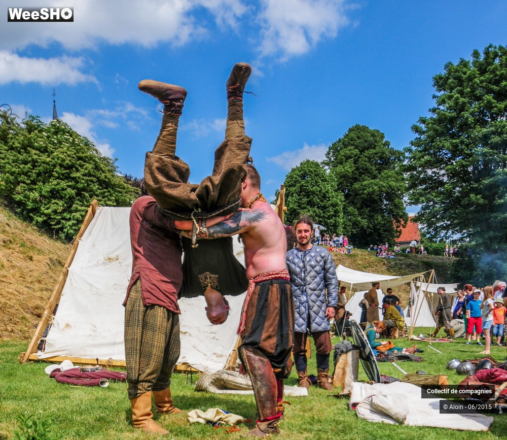 28/36 photos du spectacle Fete medievale de Mons-en-Pevele