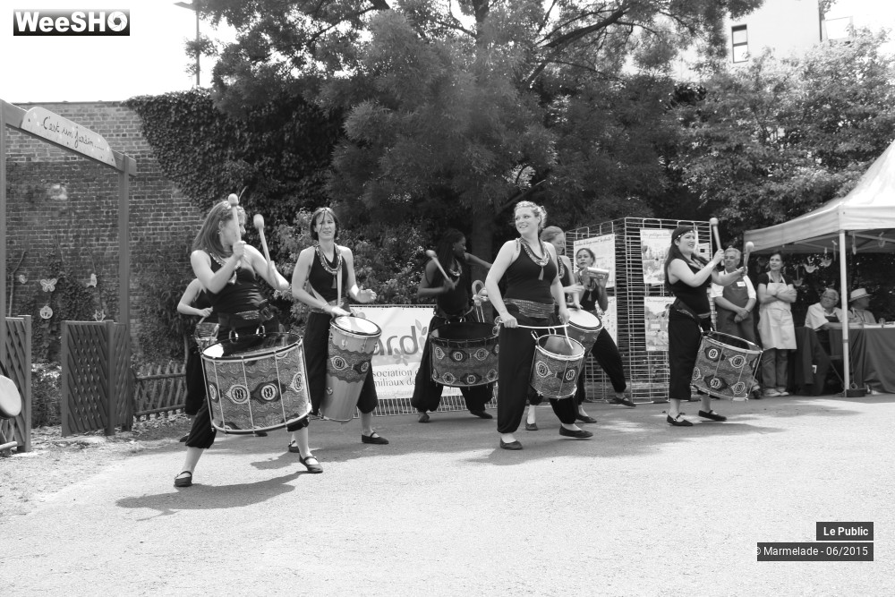 6/47 photos du spectacle Tourcoing se met au vert