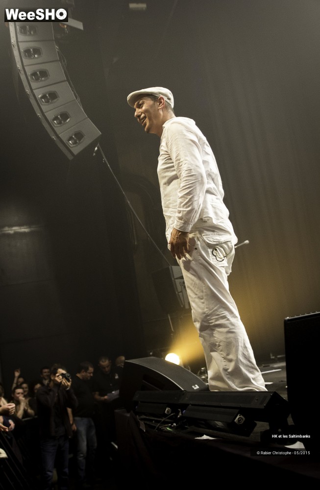 17/51 photos du spectacle HK et les Saltinbanks