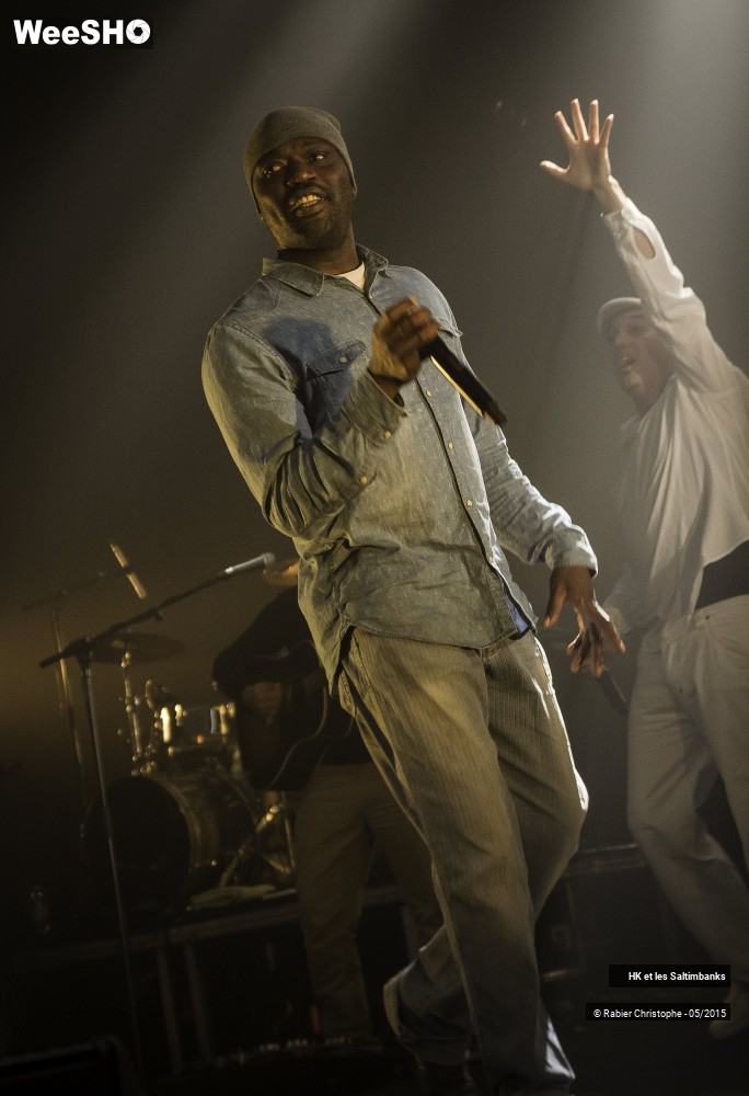 33/51 photos du spectacle HK et les Saltinbanks