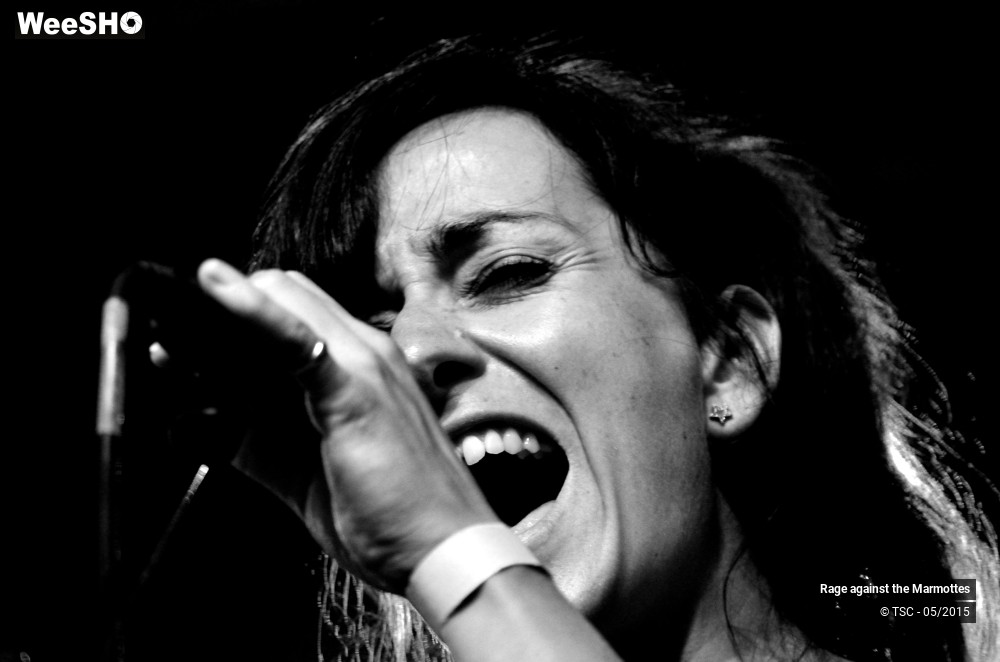 4/23 photos du spectacle Rage against the Marmottes