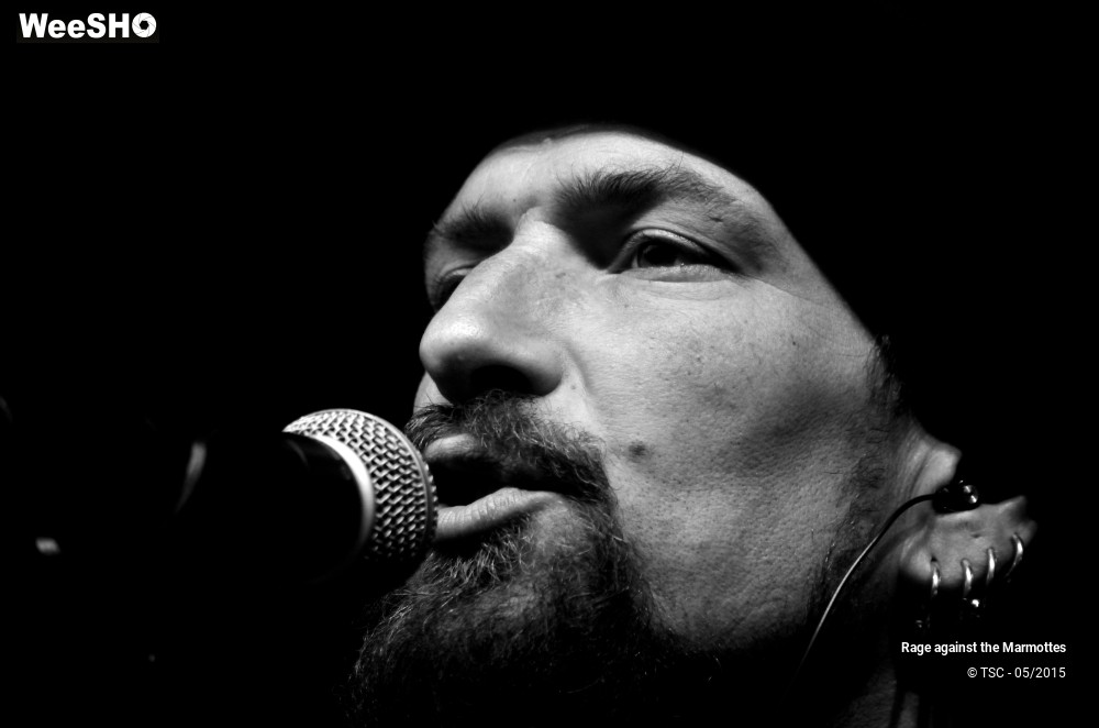 17/23 photos du spectacle Rage against the Marmottes