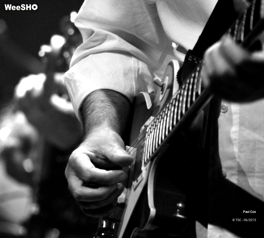 5/28 photos du spectacle Paul Cox and the Proof 