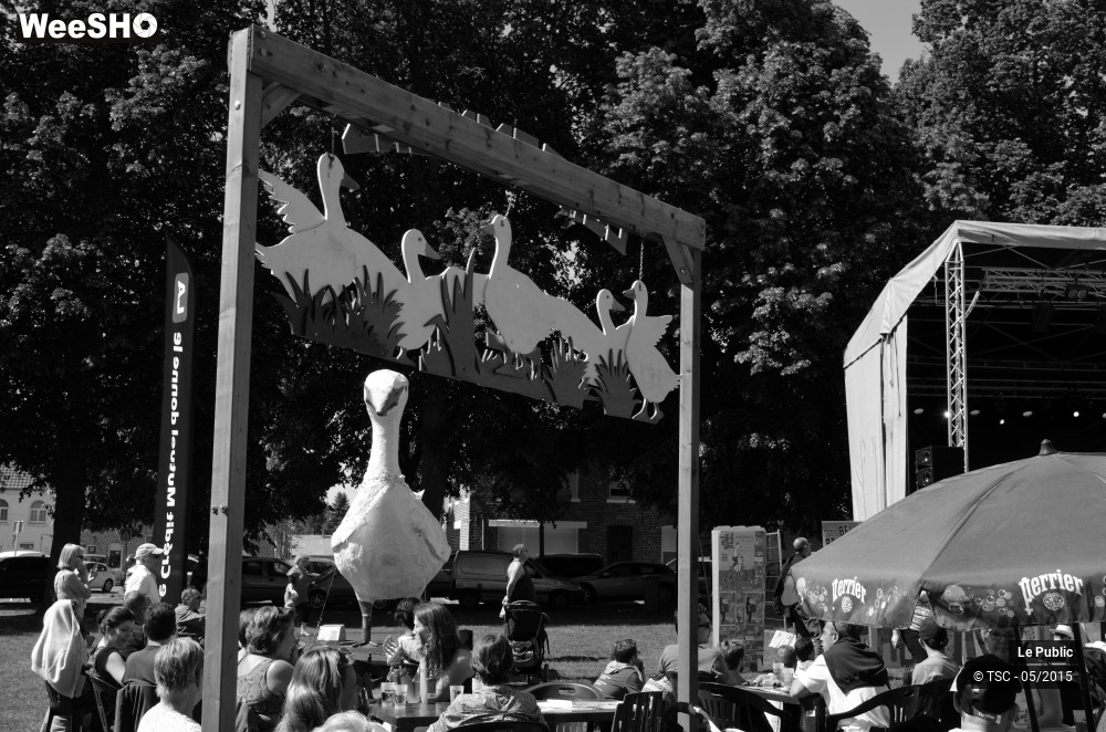 8/31 photos du spectacle Hainaut Belles Bretelles 2015 Ambiance