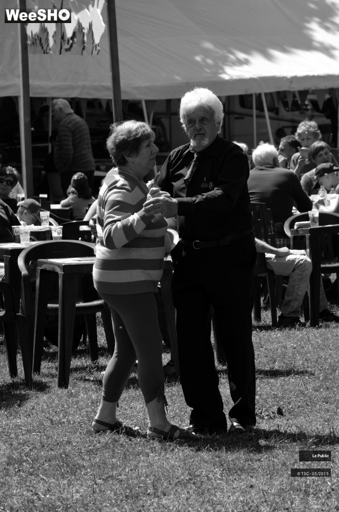 11/31 photos du spectacle Hainaut Belles Bretelles 2015 Ambiance