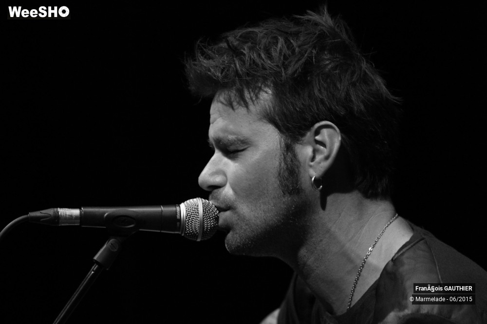 11/39 photos du spectacle François Gauthier