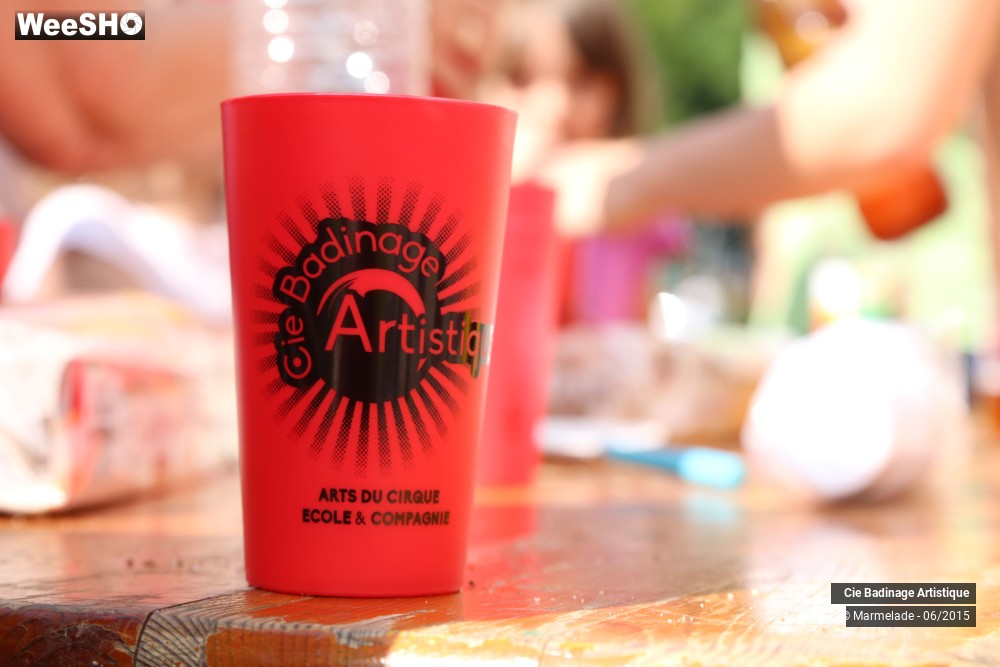 5/16 photos du spectacle Badinage Artistique Ambiance Restitution 2015