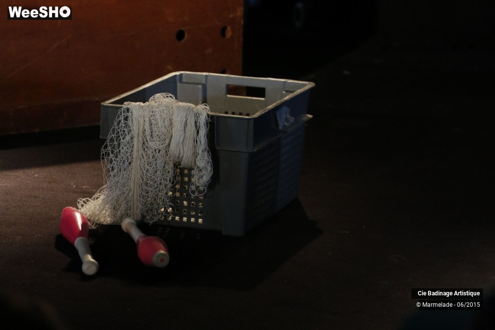 8/16 photos du spectacle Badinage Artistique Ambiance Restitution 2015