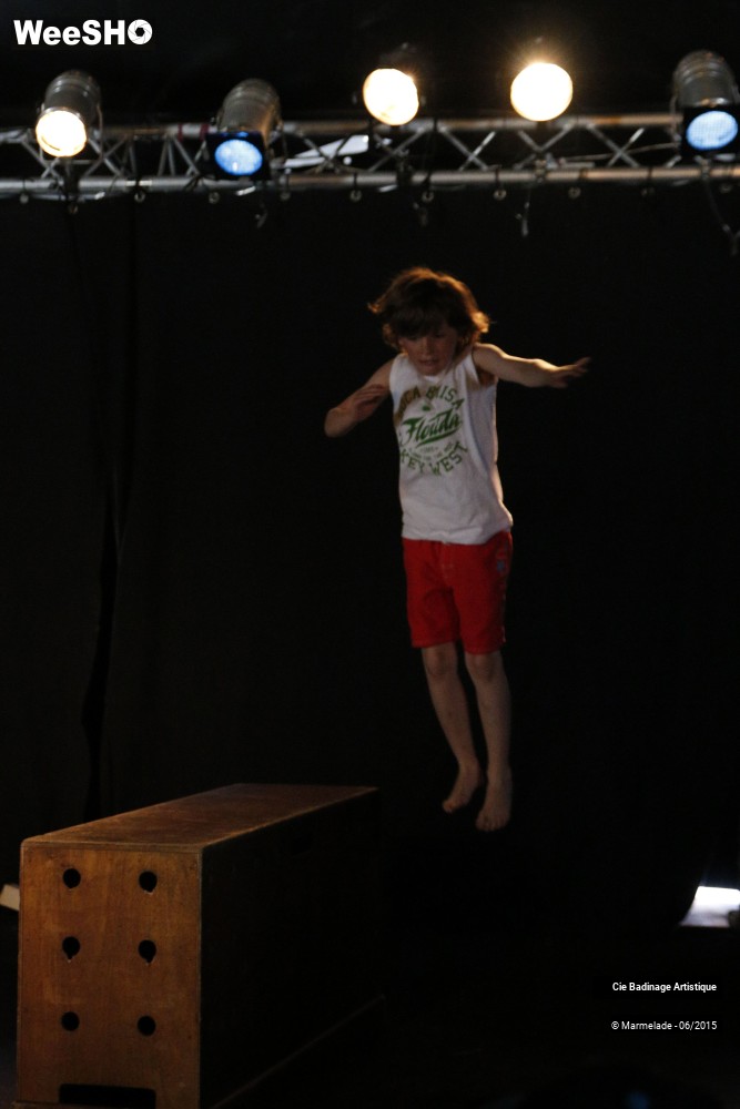 5/50 photos du spectacle Badinage Artistique Restitution 2015