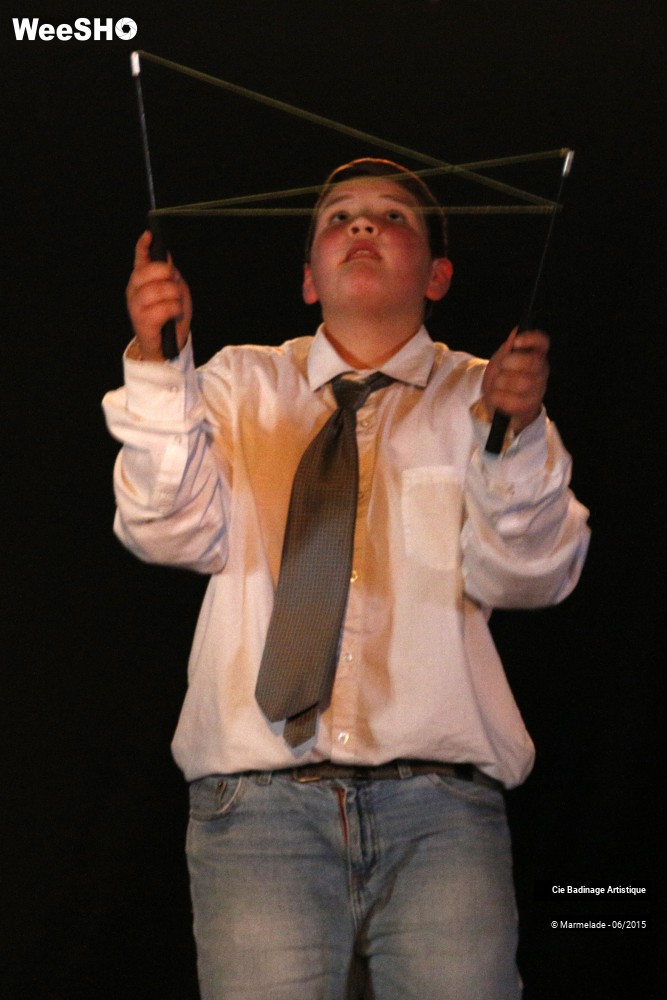 8/50 photos du spectacle Badinage Artistique Restitution 2015