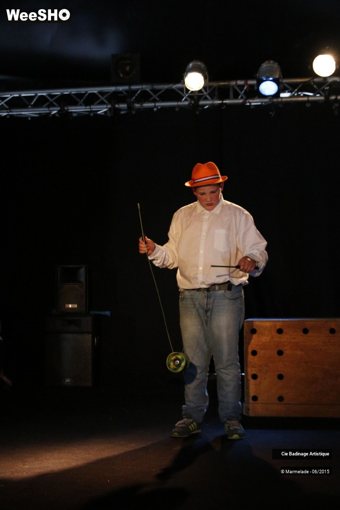 16/50 photos du spectacle Badinage Artistique Restitution 2015