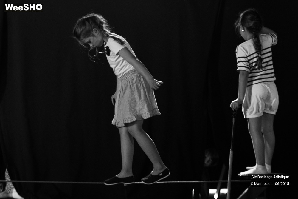 19/50 photos du spectacle Badinage Artistique Restitution 2015