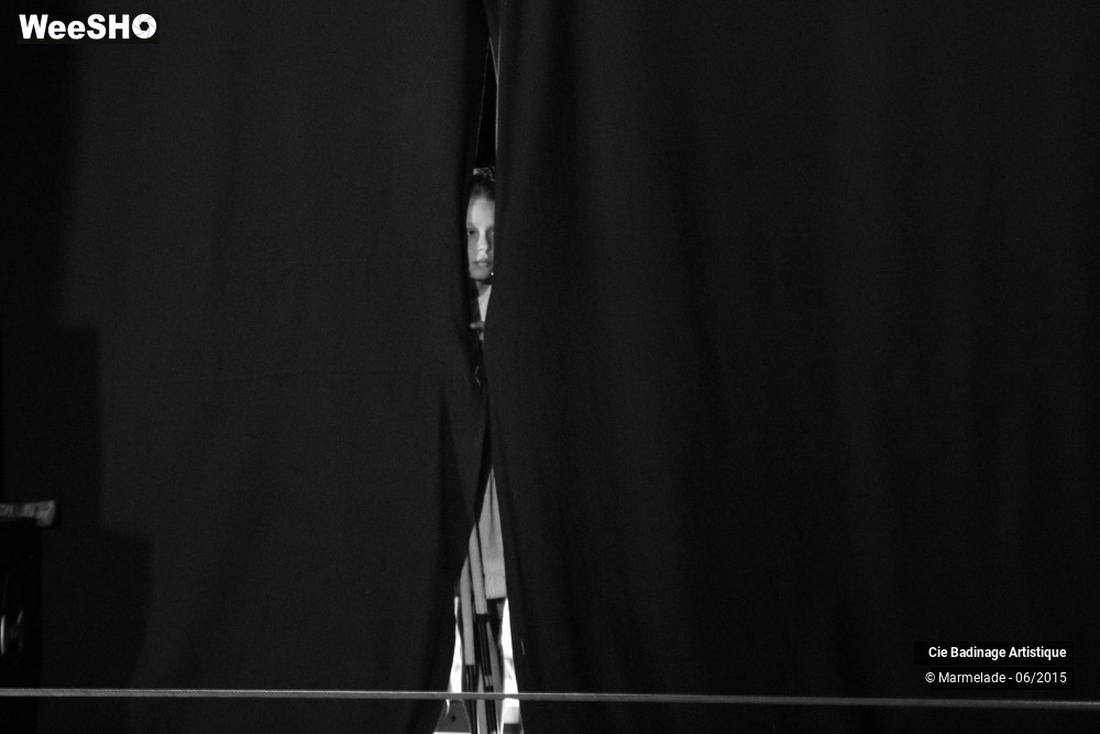 20/50 photos du spectacle Badinage Artistique Restitution 2015