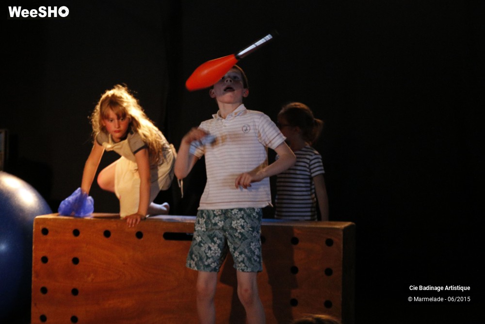 21/50 photos du spectacle Badinage Artistique Restitution 2015