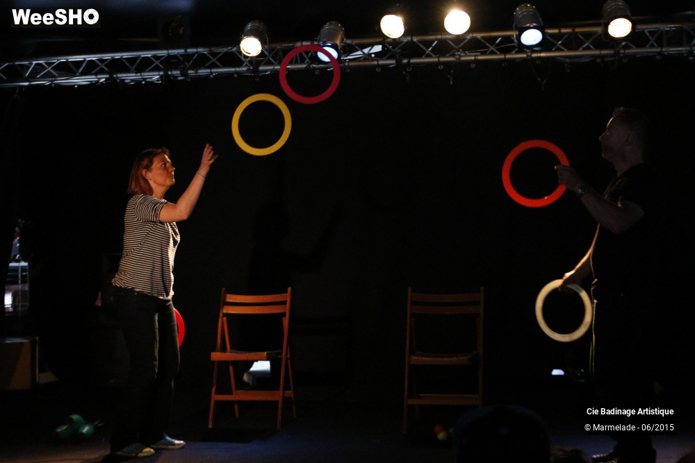 22/50 photos du spectacle Badinage Artistique Restitution 2015