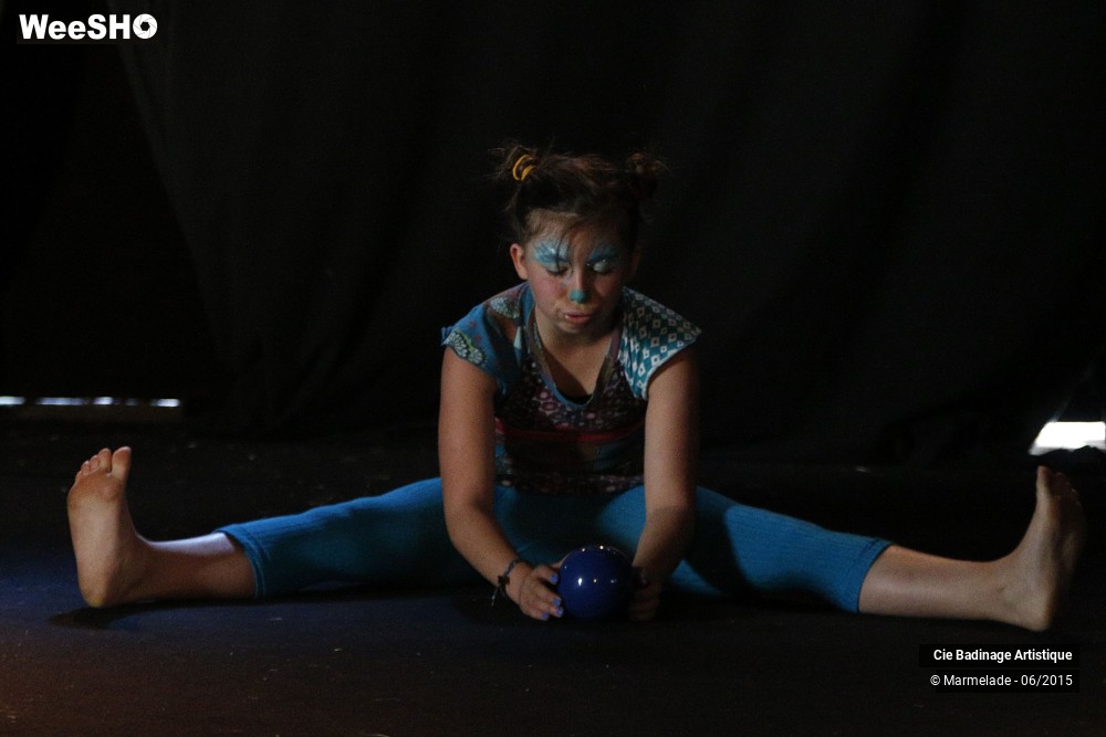 25/50 photos du spectacle Badinage Artistique Restitution 2015