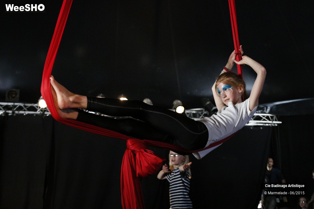 26/50 photos du spectacle Badinage Artistique Restitution 2015