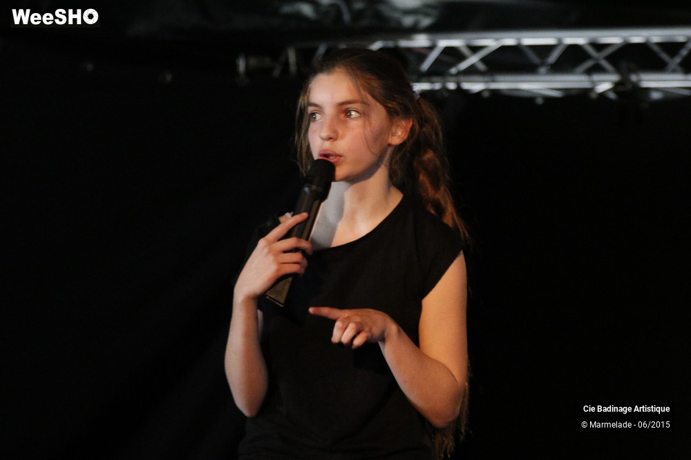 27/50 photos du spectacle Badinage Artistique Restitution 2015