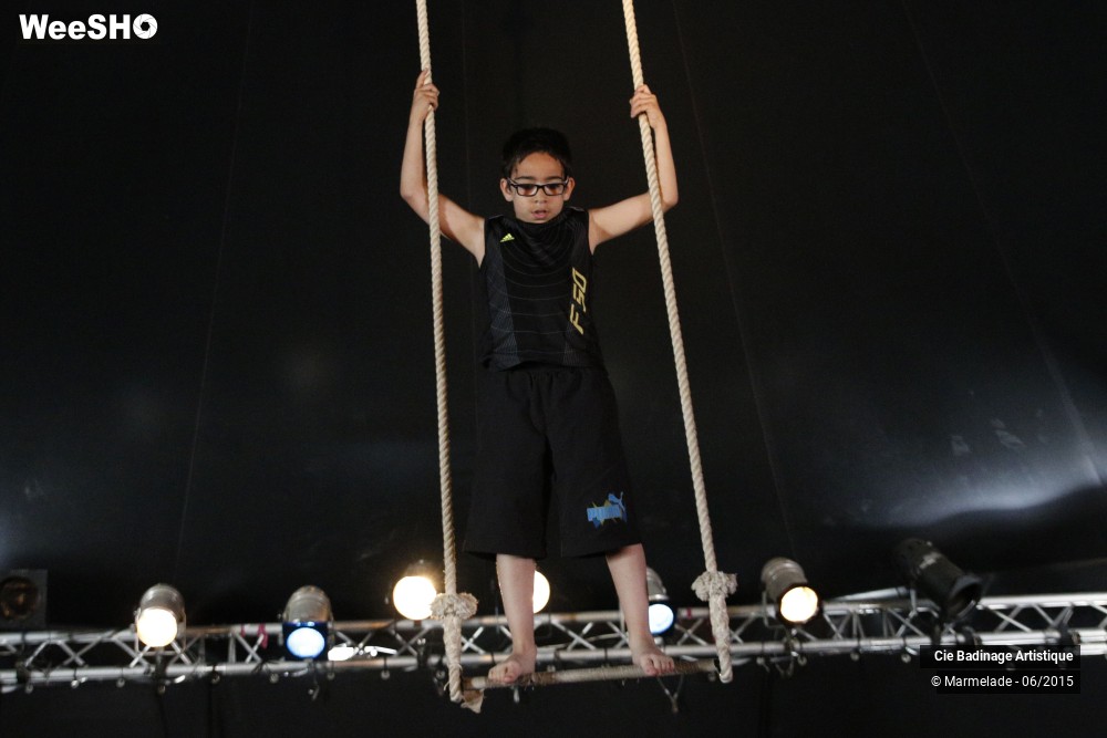 33/50 photos du spectacle Badinage Artistique Restitution 2015