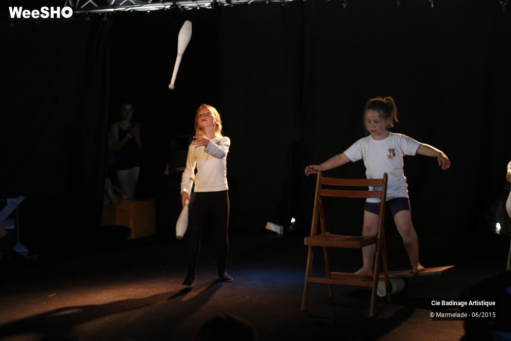 37/50 photos du spectacle Badinage Artistique Restitution 2015