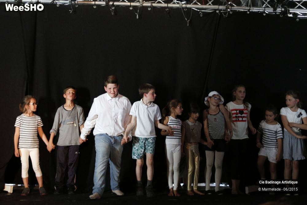 46/50 photos du spectacle Badinage Artistique Restitution 2015