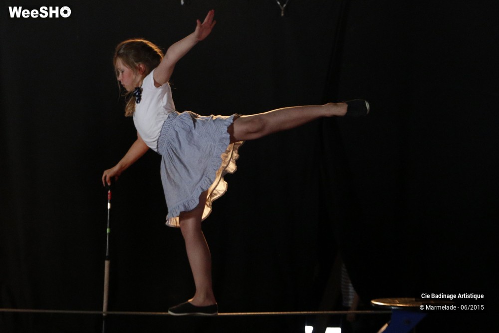 47/50 photos du spectacle Badinage Artistique Restitution 2015