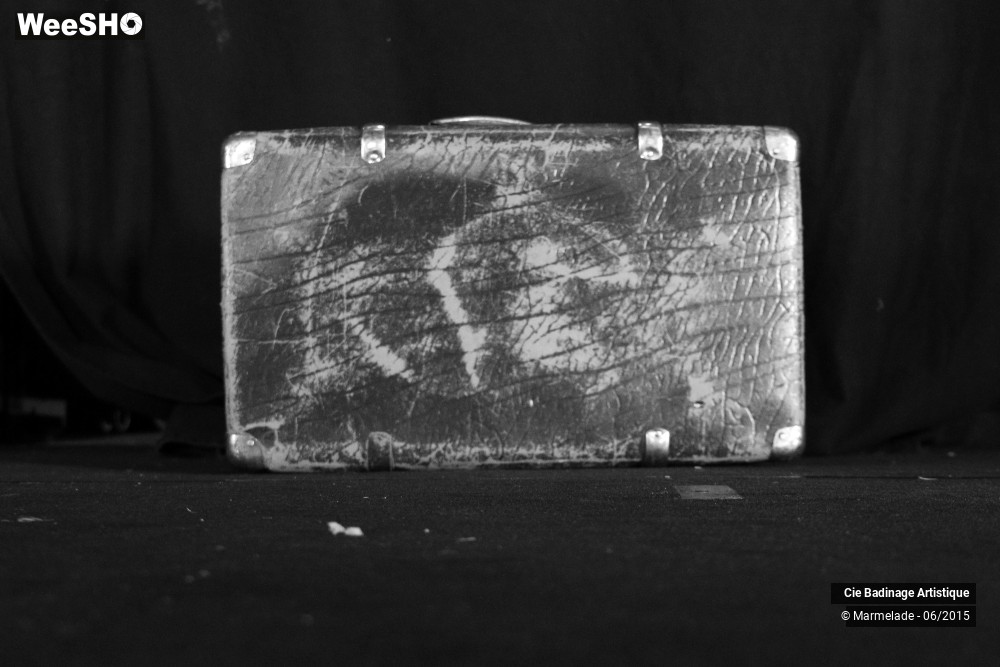 32/32 photos du spectacle Badinage Artistique Restitution des petits