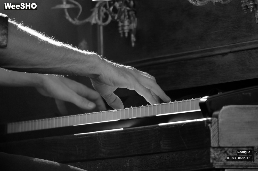 12/49 photos du spectacle Rodrigue 