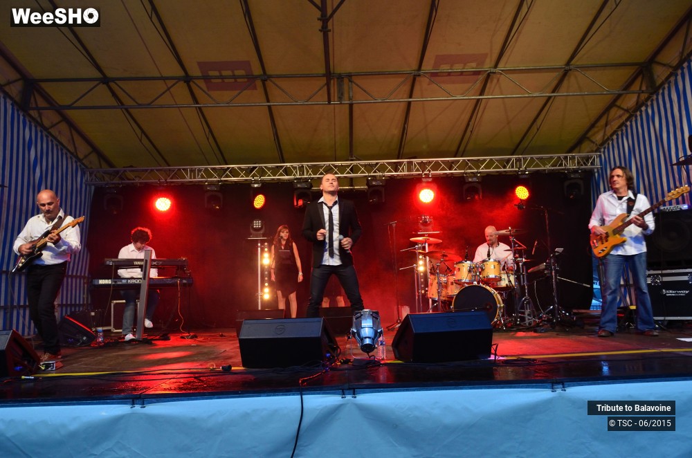 12/16 photos du spectacle Tribute to Balavoine - Mon fils, ma bataille