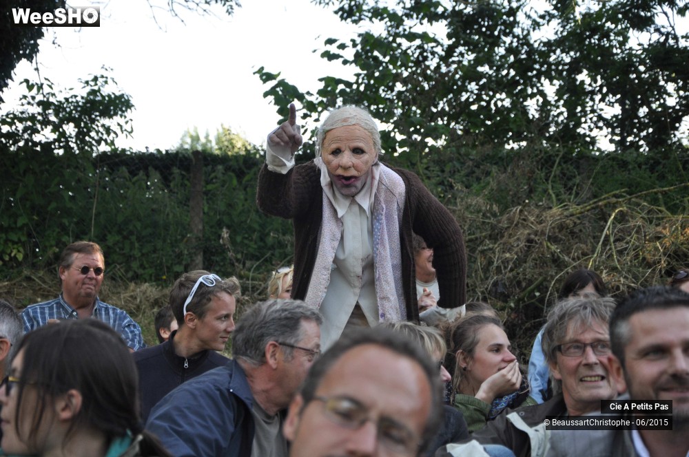 4/46 photos du spectacle Chairs vieilles