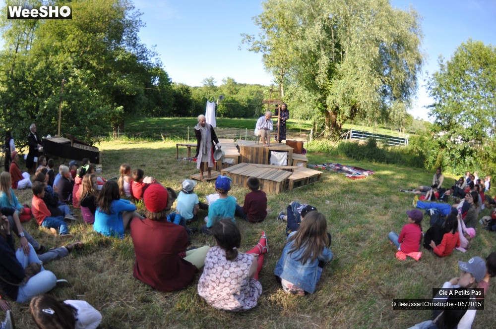 34/46 photos du spectacle Chairs vieilles
