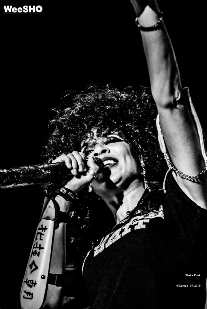 11/21 photos du spectacle Shaka Ponk