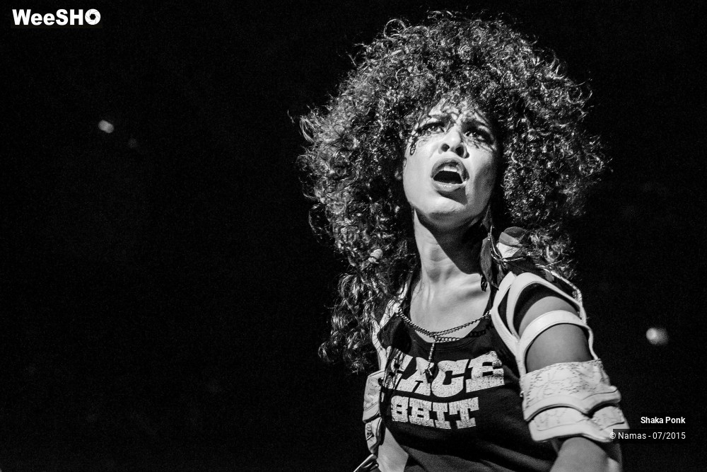 18/21 photos du spectacle Shaka Ponk