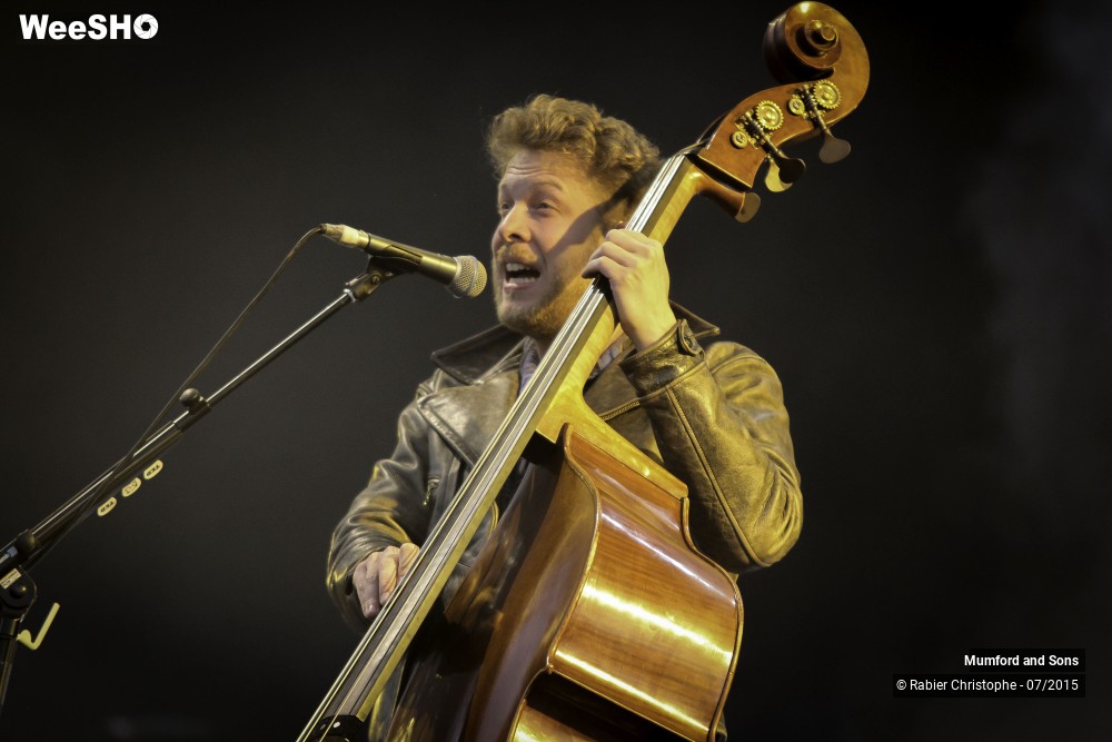 28/32 photos du spectacle Mumford and Sons